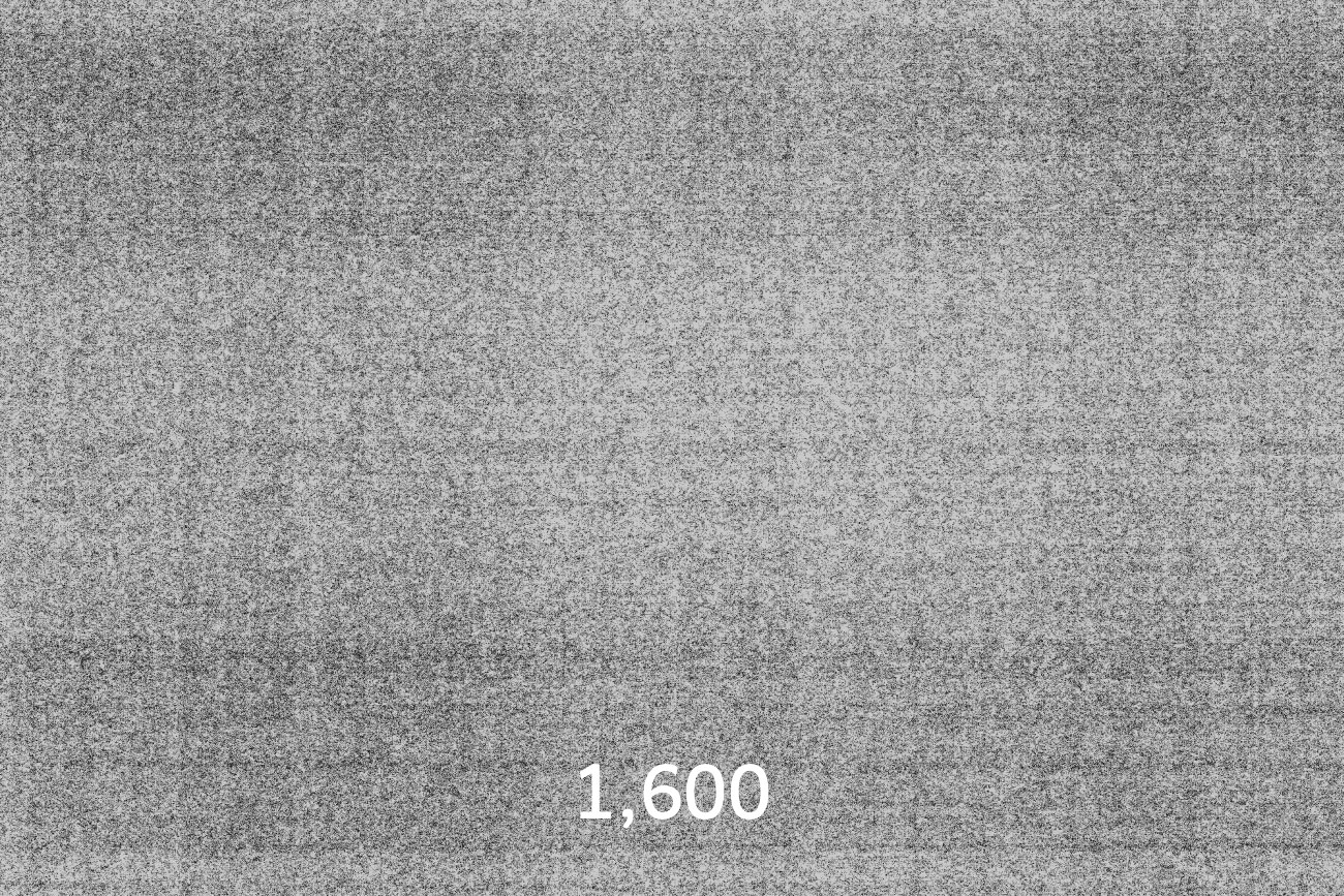 ISO1600